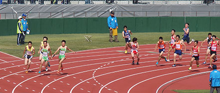 陸上競技の写真3